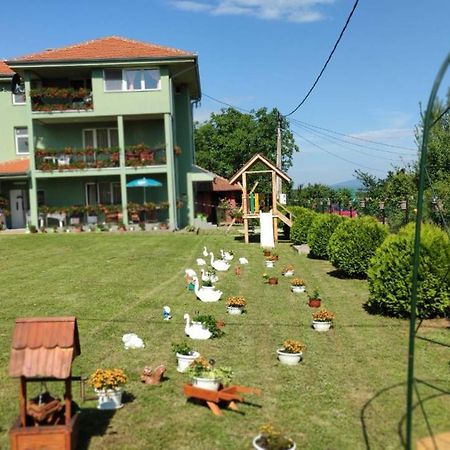 Apartment Pavlovic Sokobanja Eksteriør billede