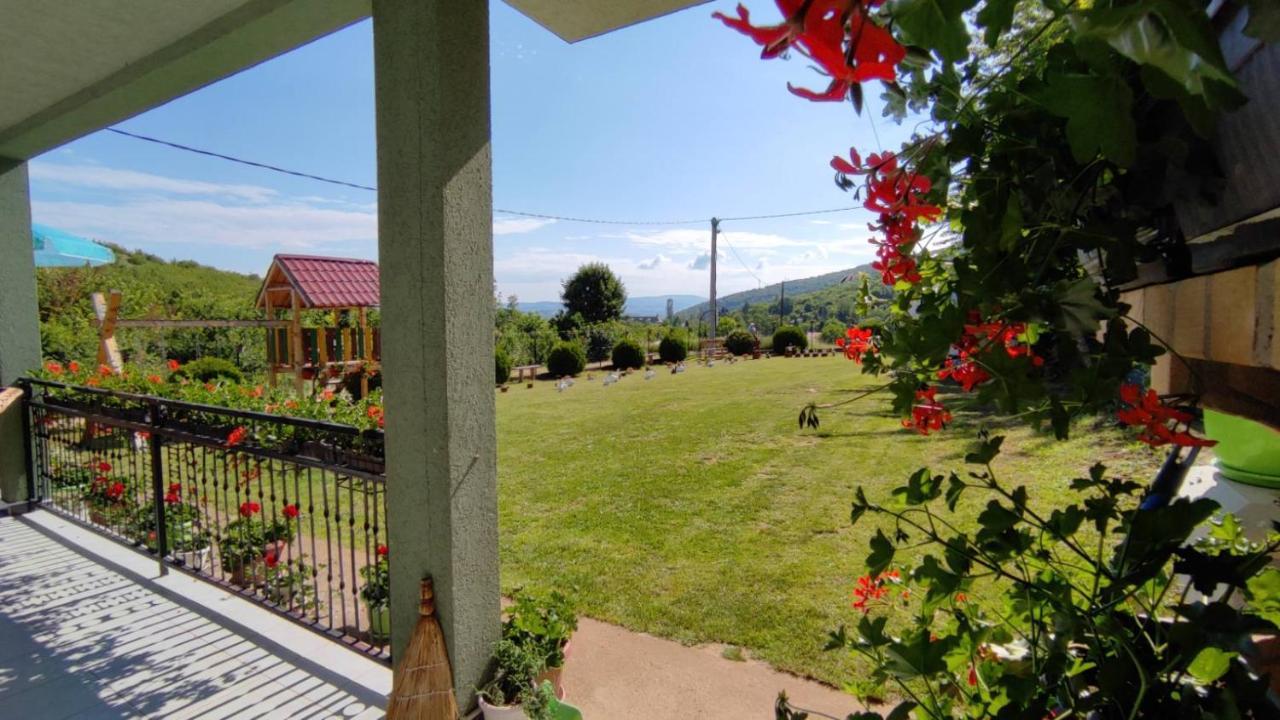 Apartment Pavlovic Sokobanja Eksteriør billede