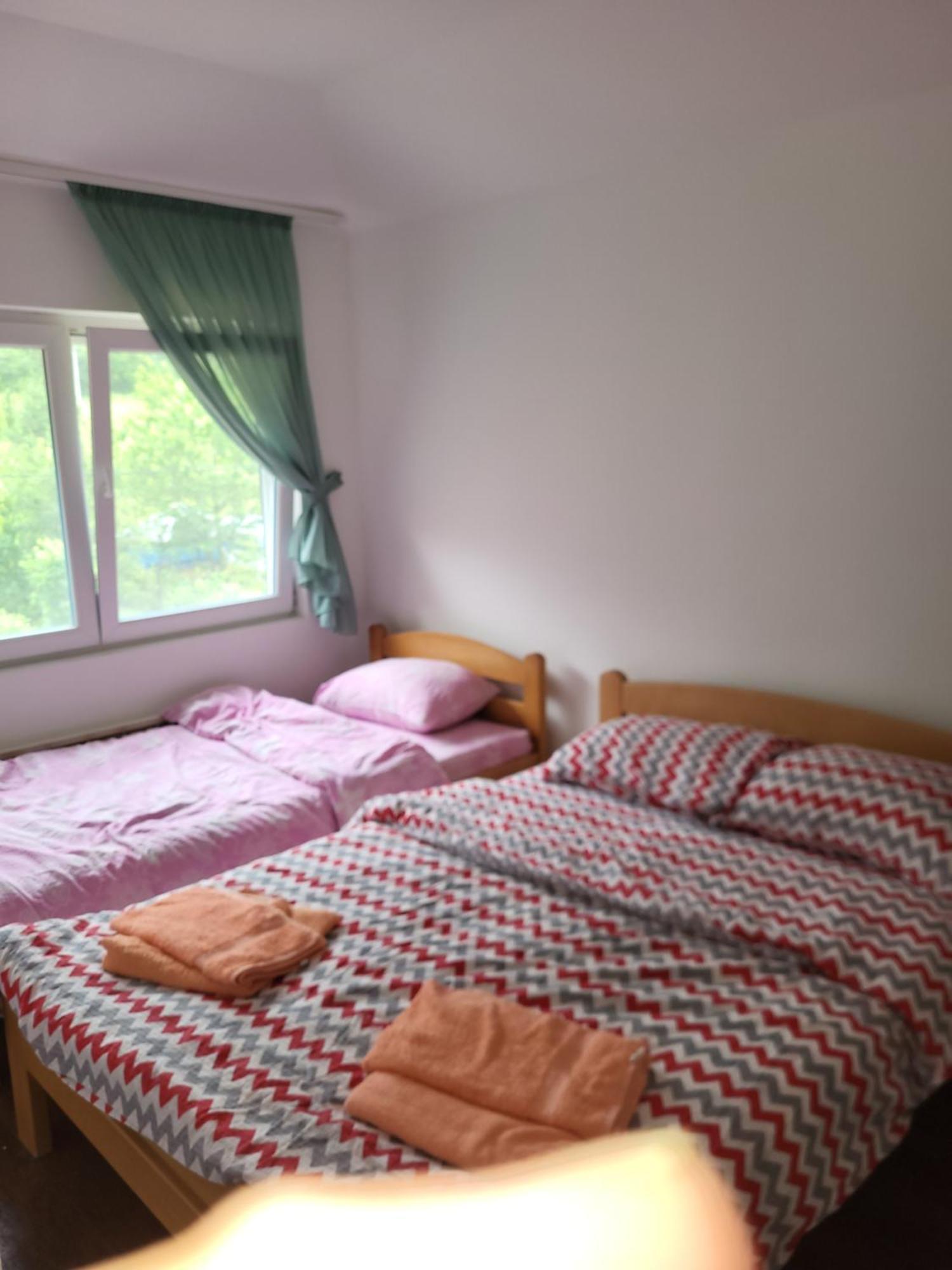 Apartment Pavlovic Sokobanja Eksteriør billede