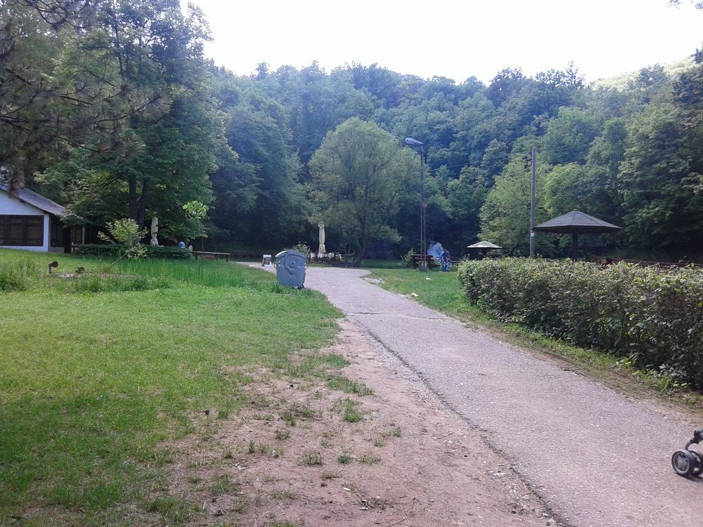 Apartment Pavlovic Sokobanja Eksteriør billede