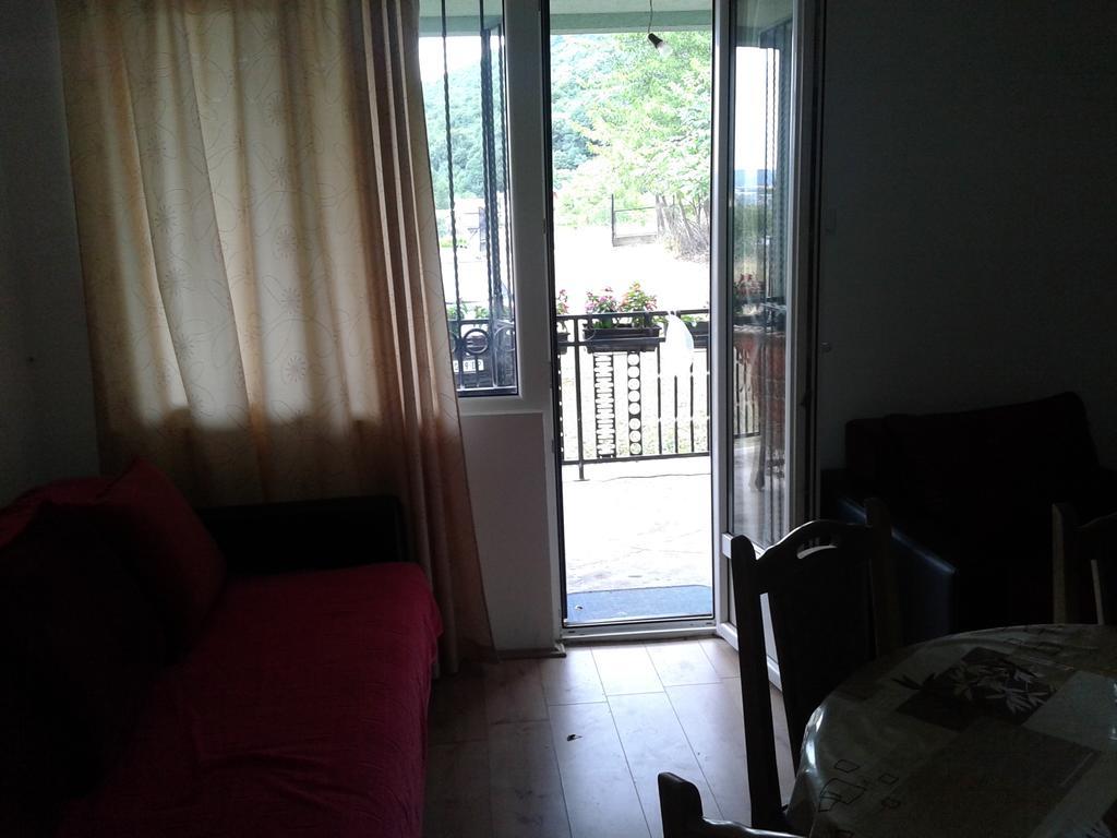 Apartment Pavlovic Sokobanja Eksteriør billede