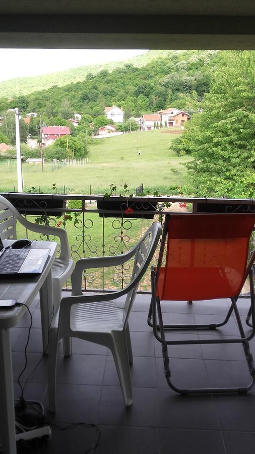 Apartment Pavlovic Sokobanja Eksteriør billede