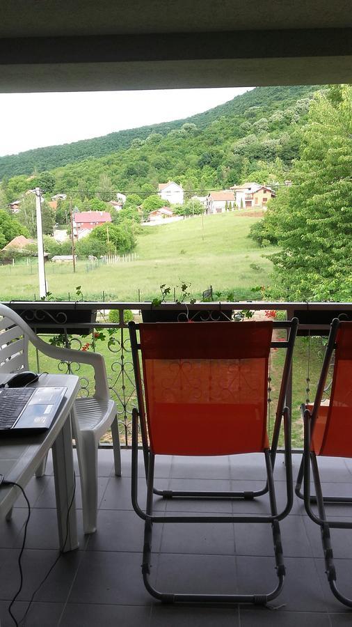Apartment Pavlovic Sokobanja Eksteriør billede
